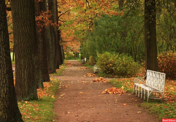 Парк культуры аллея парка осенью