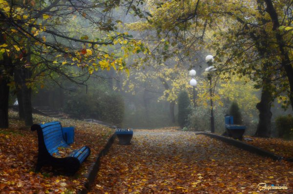 Старый парк осенью