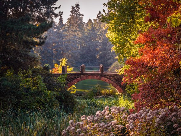 Пейзажный парк Берлин