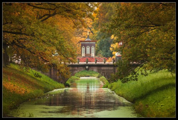 Александровский парк Санкт-Петербург осенью
