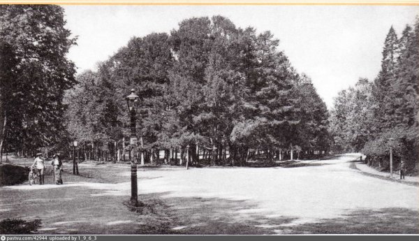 Петровский парк 1910-е