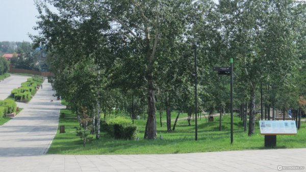 Парк в Покровке Красноярск