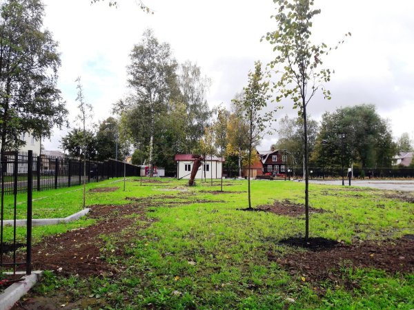 Покровский парк верхняя Пышма