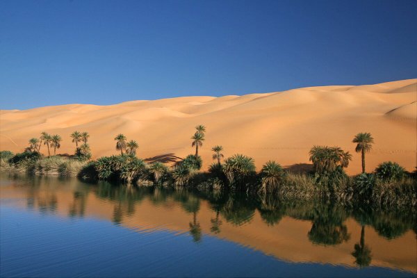 Оазис в Аравийской пустыне