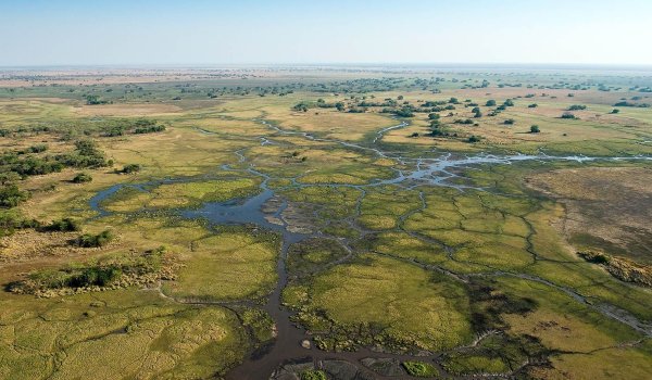 Парк Кафуэ Замбия