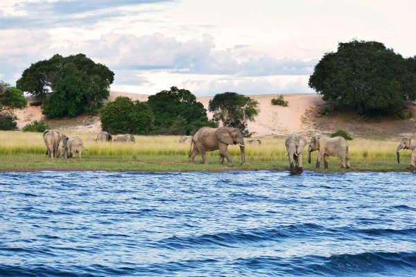 Танзания озеро Танганьика