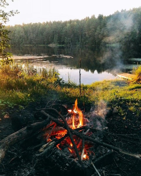 Костер в лесу
