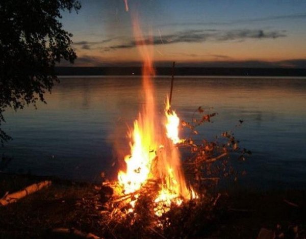 А на том берегу незабудки что за песня