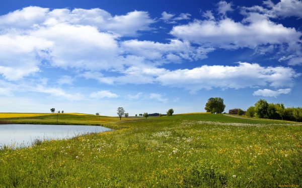 Луга Псковская область