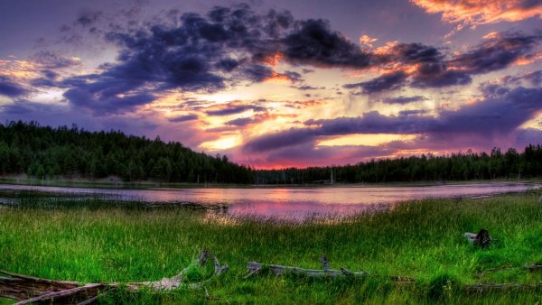 Вяхори озеро