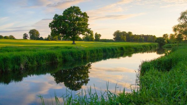 Поле с речкой