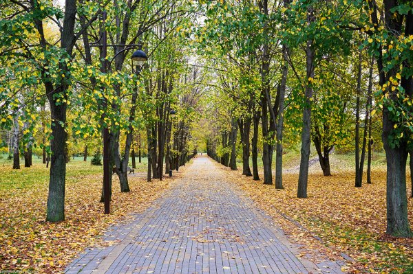 Ботанический сад Краснодар осенью