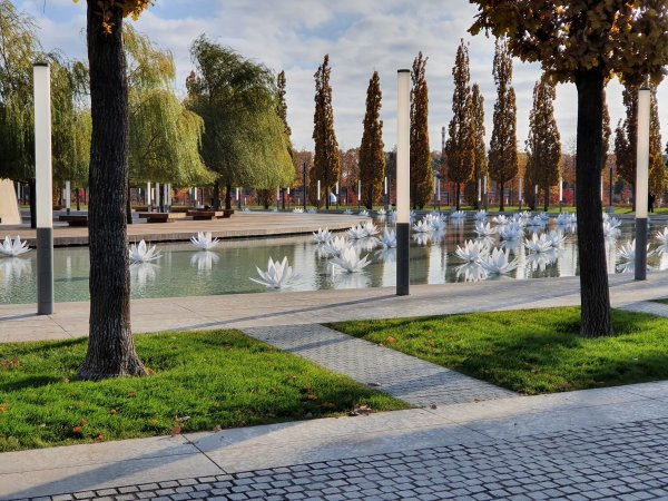 Краснодарский край парк Галицкого