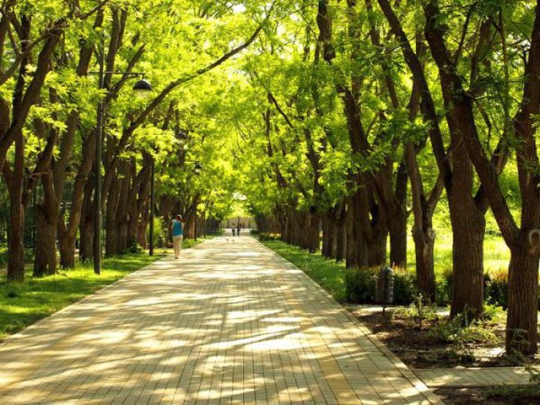 Парк Дендрарий Краснодар