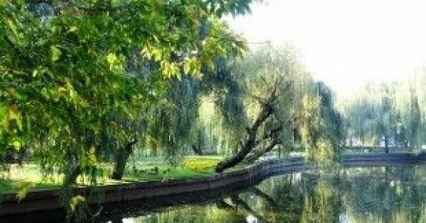 Парк городской сад Краснодар