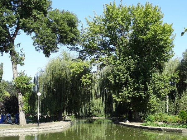 Горпарк им Горького Краснодар