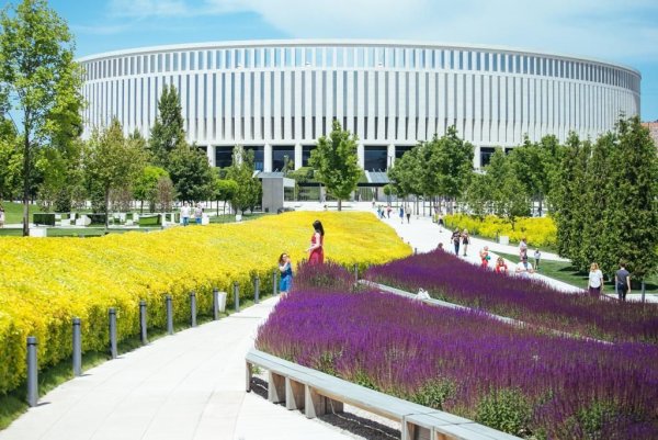 Шалфей в парке Галицкого Краснодар