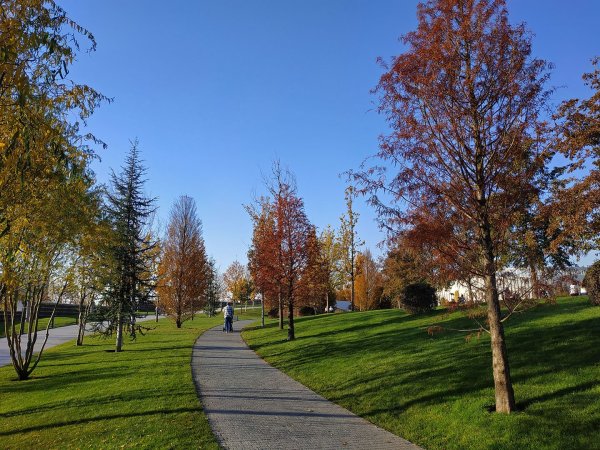 Парк Галицкого в Краснодаре осенью