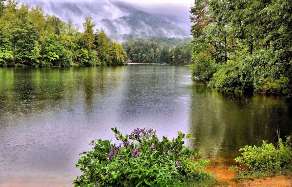 Хадыженское Лесное озеро