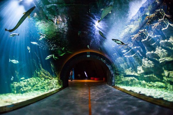 Океанариум Планета Нептун