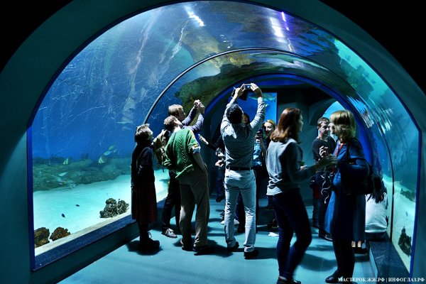 Парк ВДНХ Москвариум