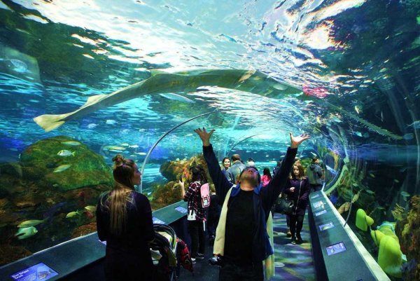 Аквариум Ванкувера