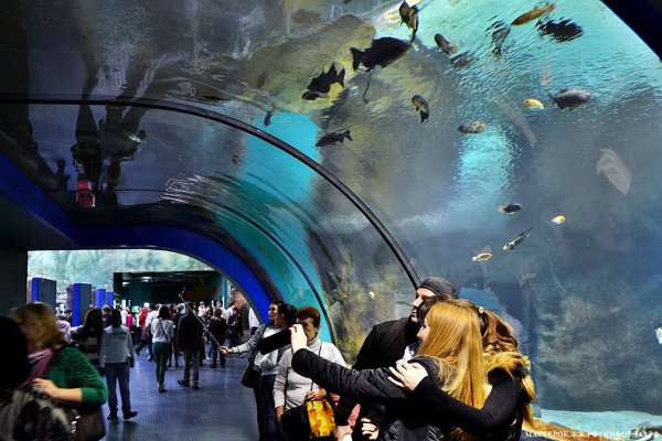 Москвариум на ВДНХ