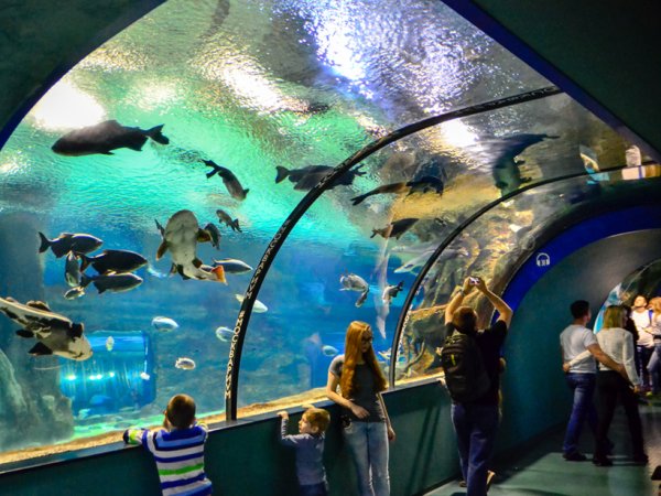 Московский аквариум Москвариум