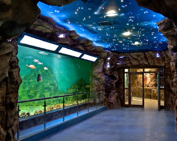 Московский зоопарк океанариум