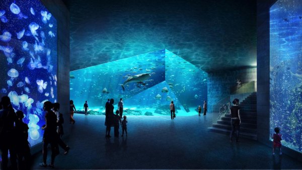 Триник океанариум