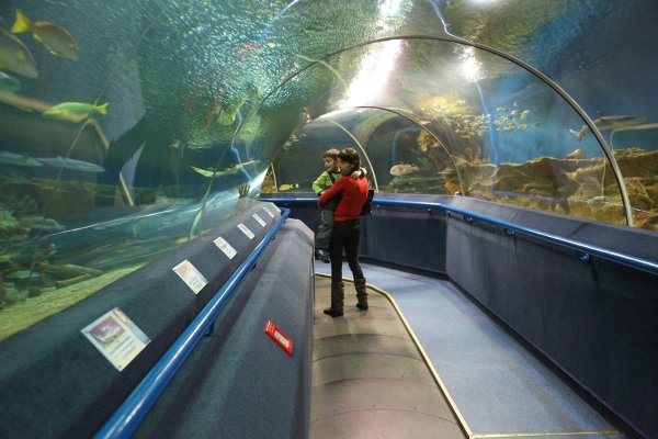 Океанариум Планета Нептун