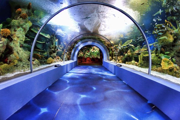 Аквариум в монастыре