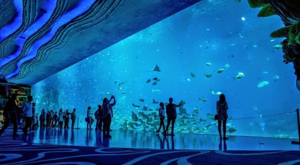 Chimelong Ocean Kingdom океанариум