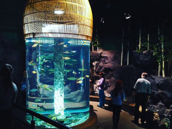 Океанариум Нептун в Санкт-Петербурге