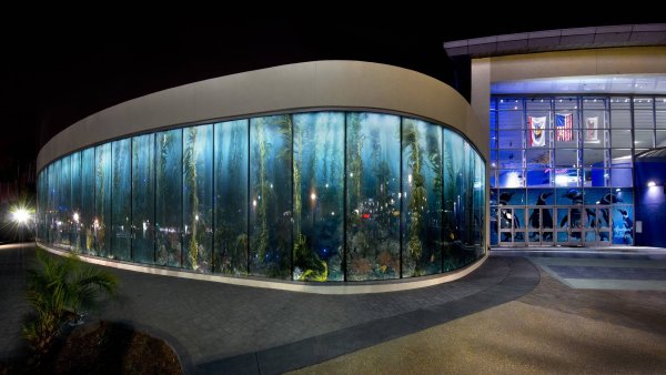 Аквариум Пасифик Лос Анджелес