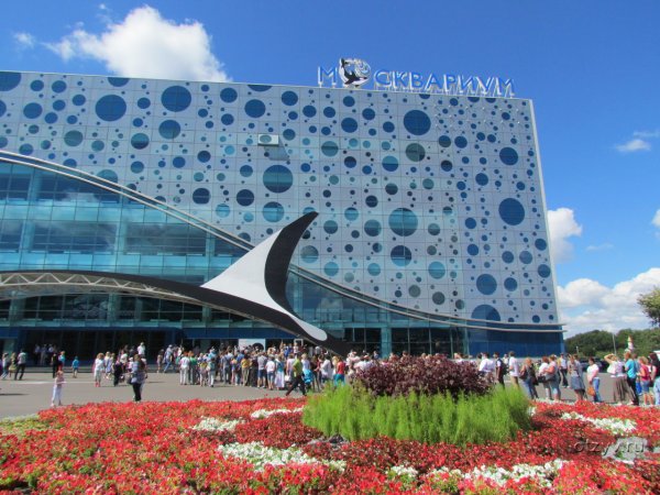 ВДНХ В Москве Москвариум