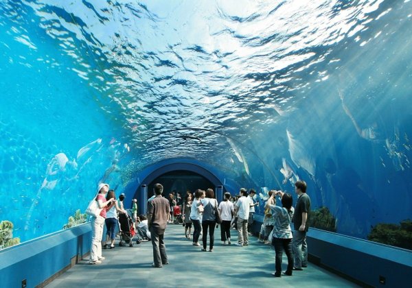 Бангкок океанариум Siam Ocean World