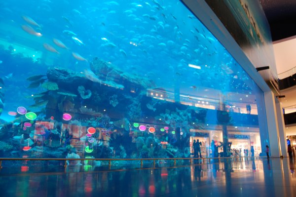 Dubai Mall аквариум