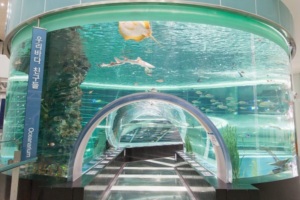 Национальный морской музей в Корее