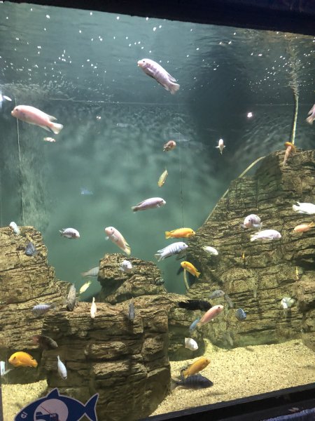 Океанариум Дискавери Казань