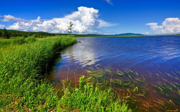 Берег реки