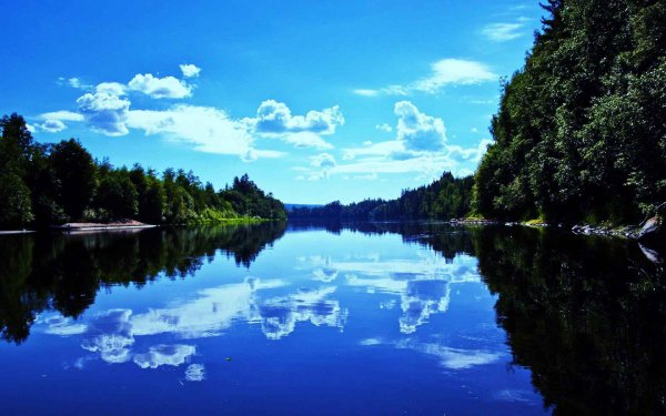 Лесное озеро Сестрорецк