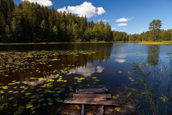 Озеро Боровно Окуловский район
