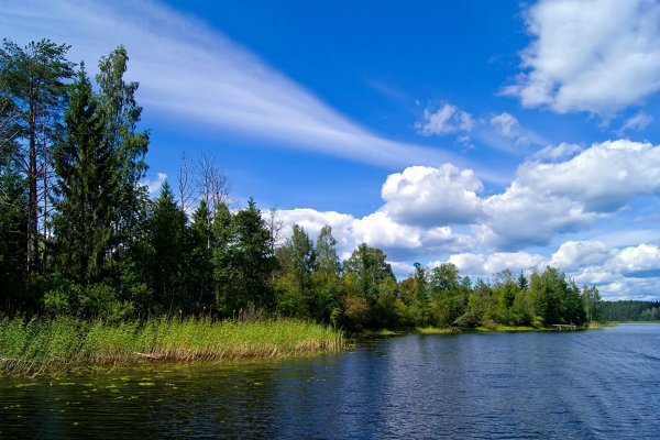 Берег реки