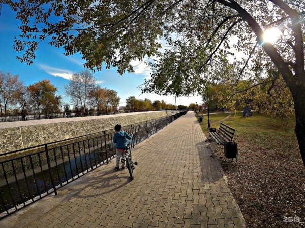 Парк дружбы Благовещенск панды