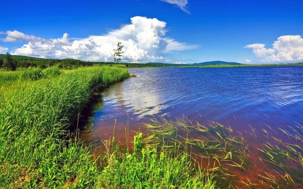 Берег озера