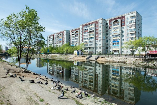 Парк дружбы Амурская область