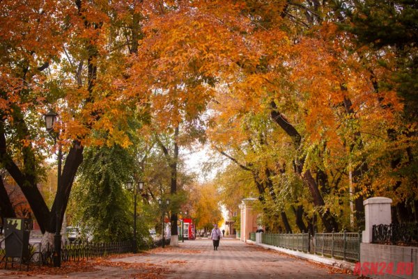 Благовещенск набережная осень