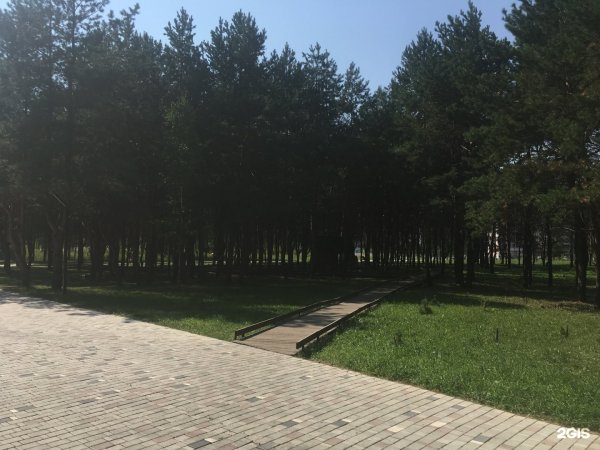 Парки в Нижнекамске парк семья