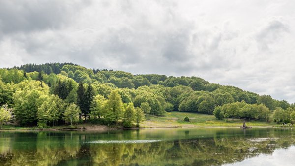 Озеро в лесу с высоты